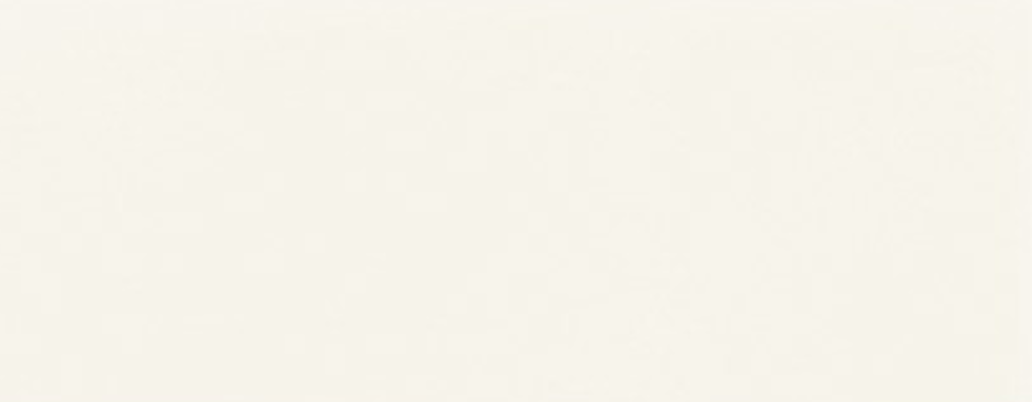 Fliese Villeroy & Boch Wandfliesen 1212 MW00 45X0 10x 20 cmNEU1