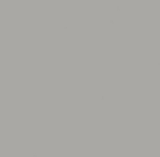 Fliese Villeroy & Boch Bodenfliesen 2353 ZM90 grau 30 x 60 NEU0