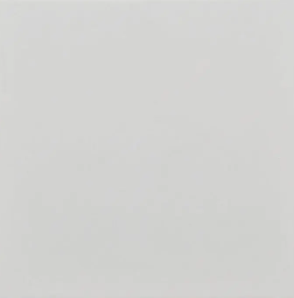 Fliese Villeroy & Boch Wandfliesen 1190WM00 50L 20x 20 cmNEU1