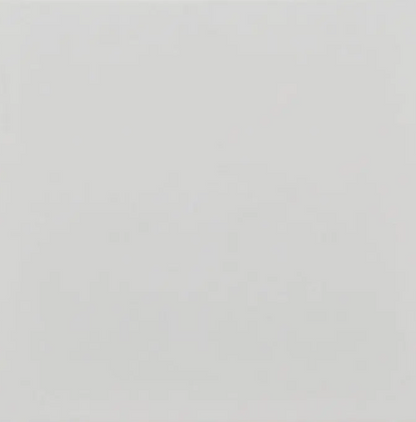 Fliese Villeroy & Boch Wandfliesen 1190WM00 50L 20x 20 cmNEU1