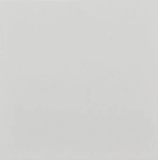 Fliese Villeroy & Boch Wandfliesen 1190WM00 50L 20x 20 cmNEU0