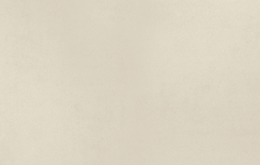 Villeroy & Boch Bodenfliesen 2692 PL01 147 x 597 mm0